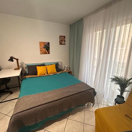 Studio Lucica Petrovac Zewnętrze zdjęcie